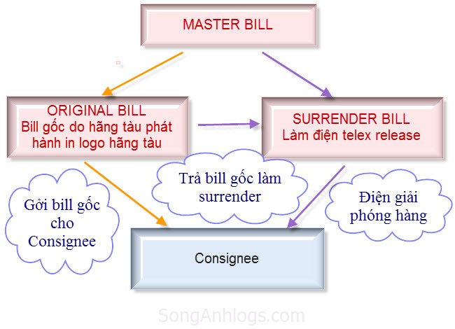 master bill là gì