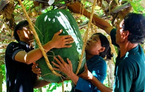 Nông sản sạch
