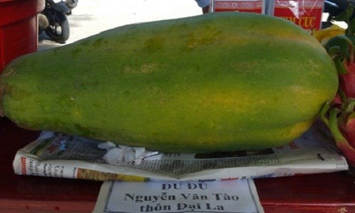 nông sản sạch