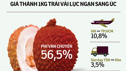 vận chuyển vải bằng đường hàng không