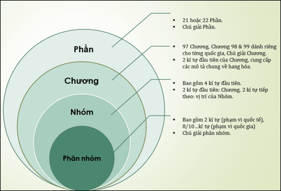 Cấu trúc HS Code