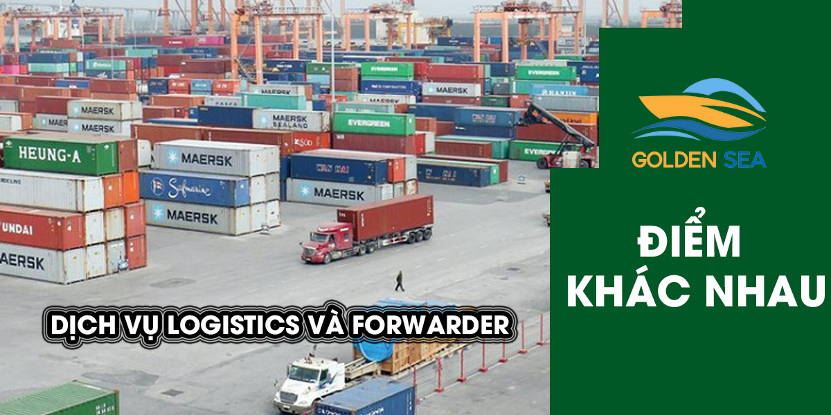 điểm khác nhau dịch vụ logistics và forwader